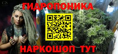 гашик Кунгур