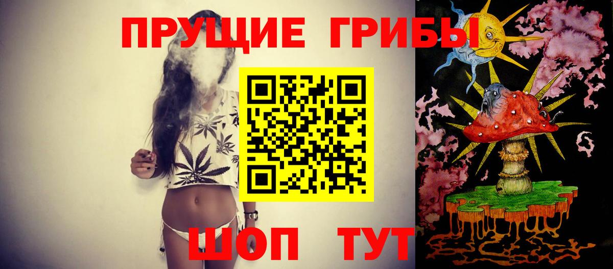 Галлюциногенные грибы Cubensis Зеленокумск